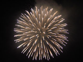 hanabi2006_d.jpg (20261 oCg)