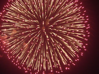 hanabi2007_05.jpg (33381 oCg)