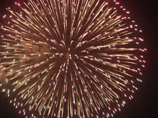 hanabi2007_16.jpg (31963 oCg)